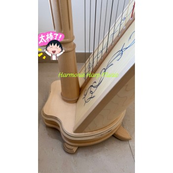 SOLD - 2nd Hand Salvi Ana Deluxe 40 strings Lever Harp SOLD - 2nd Hand Salvi Ana Deluxe 40 strings Lever Harp